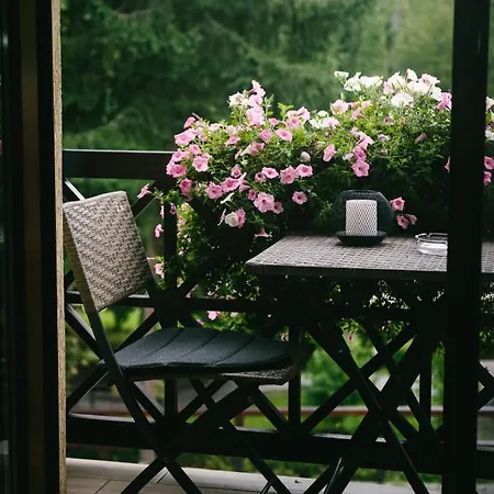 Bed & Breakfast Amethyst Sovata